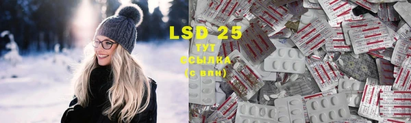 ПСИЛОЦИБИНОВЫЕ ГРИБЫ Алексин
