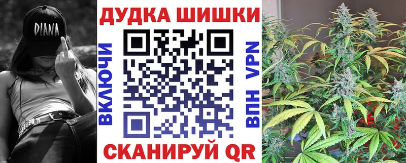 магазин    Александровск  Канабис сатива 